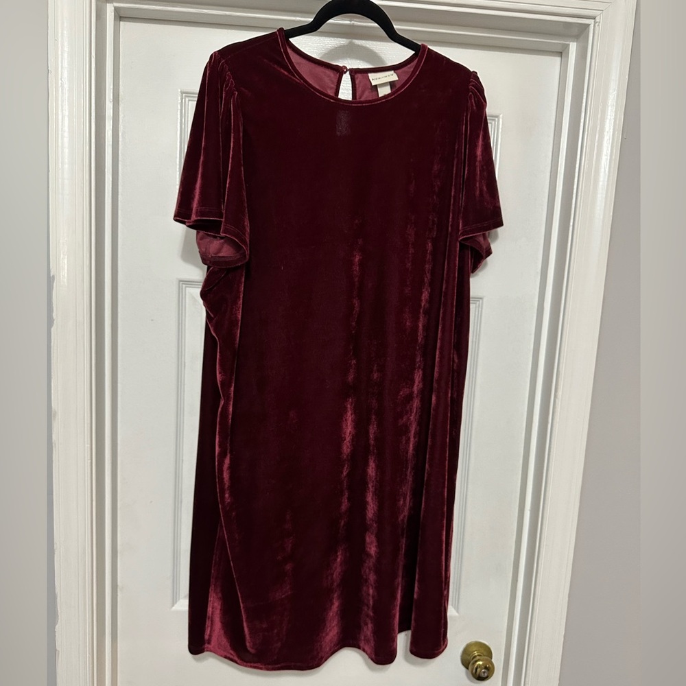 Ava & Viv Rich Red Velvet Dress